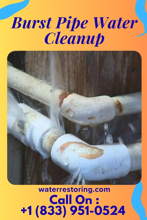 Burst Pipe Water Cleanup in Lakewood, SC