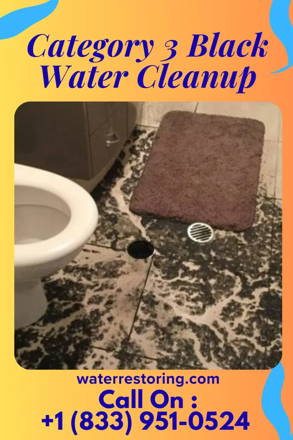Category 3 Black Water Cleanup in Lakewood, SC