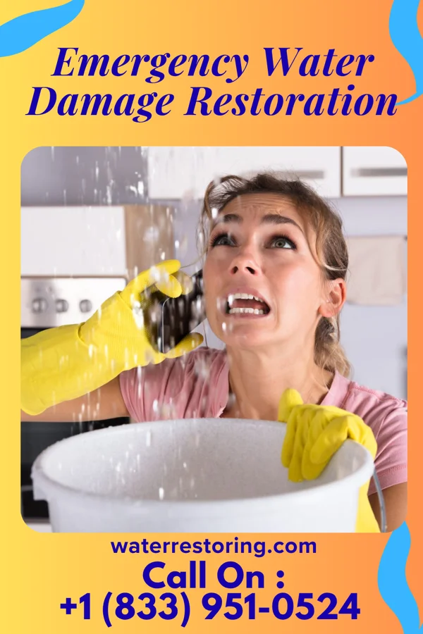 Emergency Water Damage Restoration in Lakewood, SC